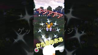 色違いは突然に…色違いウィローピカチュウ登場🐭⚡ #ポケモンgo #pokemongo #pokemongoshorts