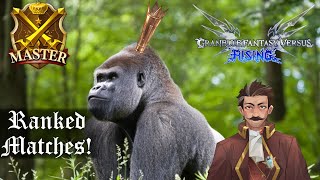 [GBVSR] Guerrilla Gorilla VS Master Rank!