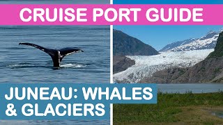 Juneau, Alaska Cruise Port Guide: Whale Watching & Mendenhall Glacier Tour