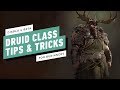 Diablo 4 - Druid Class Tips and Tricks For Beginners