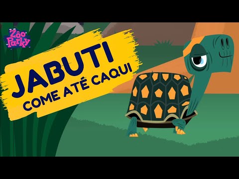 Jabuti  ti-ti-ti-ti | Zooparky ( Children's Music - Cartoon )