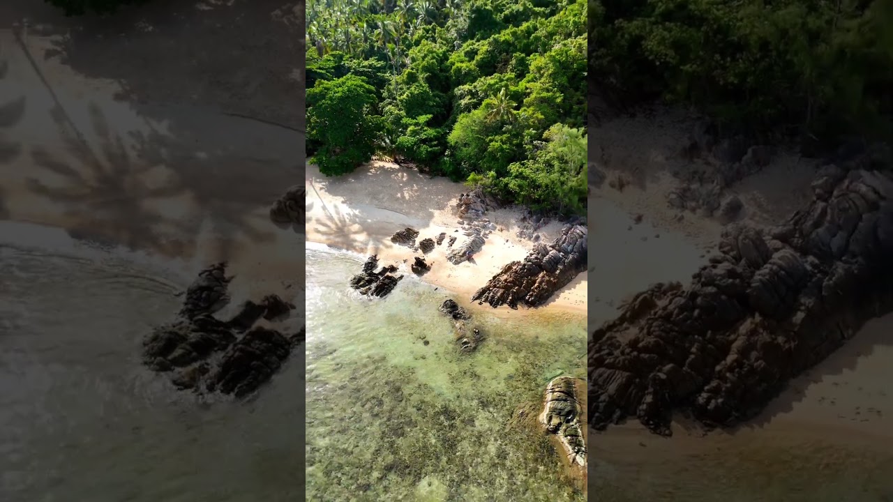 YouTube Short thumbnail