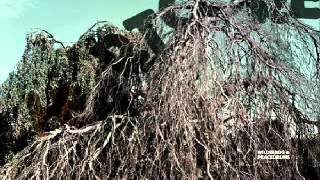 doubt/hope (not live)