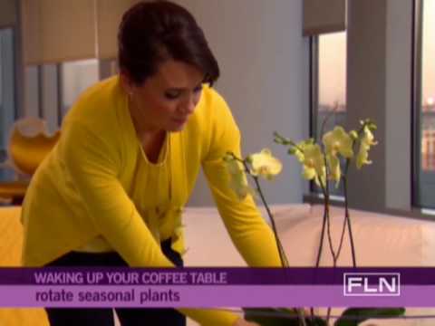 download lagu mp3 mp4 Whitman Coffee Table, download lagu Whitman Coffee Table gratis, unduh video klip Whitman Coffee Table