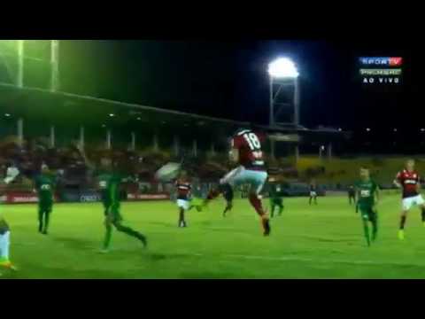 2° gol de Leandro Damião para o Flamengo