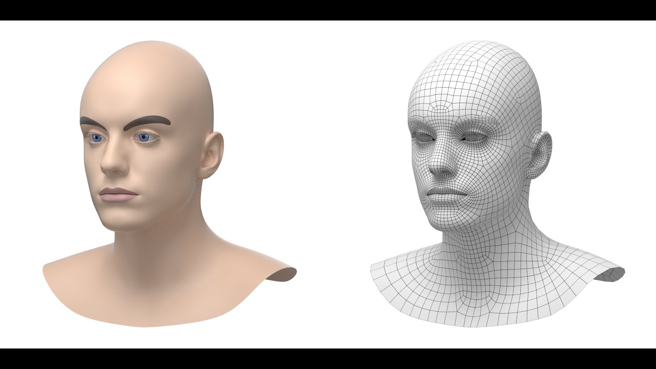 Natural Male Head 03 Base Mesh 3D Model