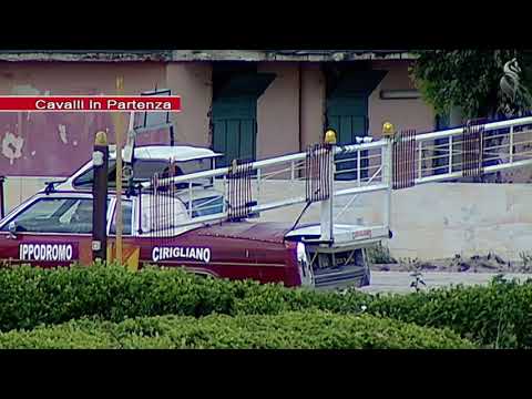 Aversa trotto 19 Maggio 2021 - 3° Corsa