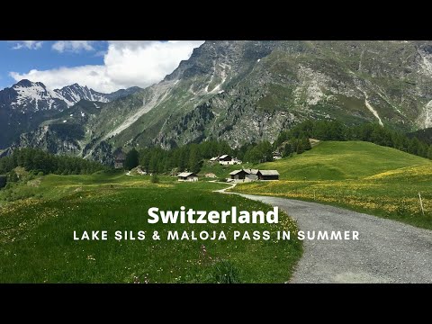 VISITING THE SWISS LAKE SILS IN SUMMER - Australian Shepherd