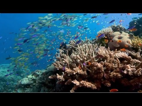 Unsichtbare Gefahren