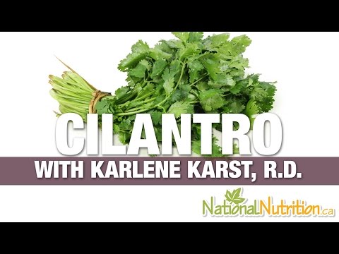 Cilantro Health Benefits