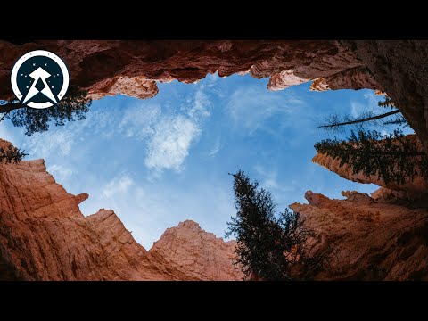 Green Ketchup - Enuff Hole