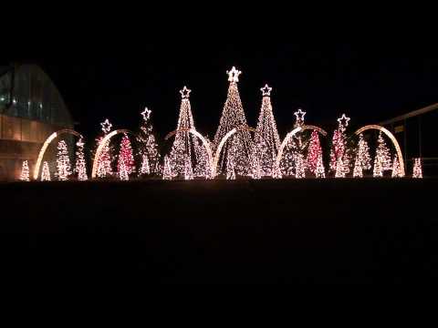Amazing Grace Techno - Synchronized Christmas Light Show to Music