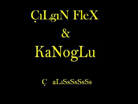 3ütek Ç alış (2009) ÇıLgıN CoZiN & Kanoglu