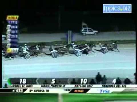 09/02/2013, Aversa Trotto, Premio Zodiaco Tris.