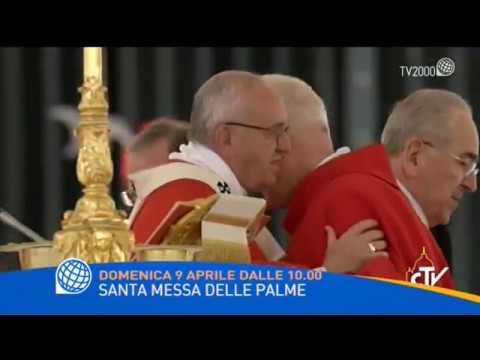 Santa Messa delle Palme - Domenica 9 aprile dalle 10.00 su TV 2000