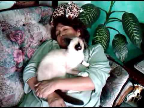 mama durmiendo con perla