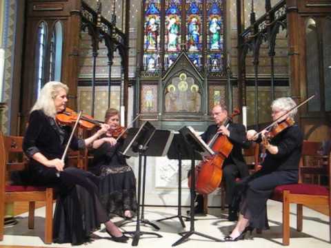 Promotional video thumbnail 3 for Strings of Choice