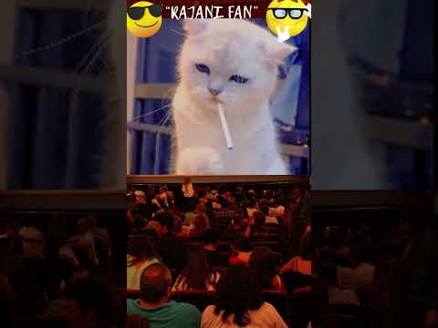 Rajani 😁fan💥 cat😺#shortsfeed #cat #shortvideo #shortsviral #shorts #youtubeshorts #funnycatvideos