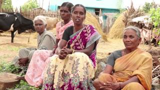 preview picture of video 'Joint Liability Groups for Sustainable Development (in Tamil Nadu)'