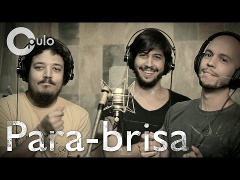 Para-brisa video