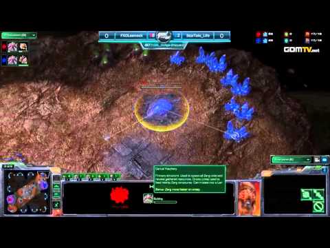 Set 1   FXO Leenock vs StarTale Life   Match 1