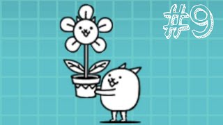 How to get flower cat : The Battle Cats #9 (ไทย)