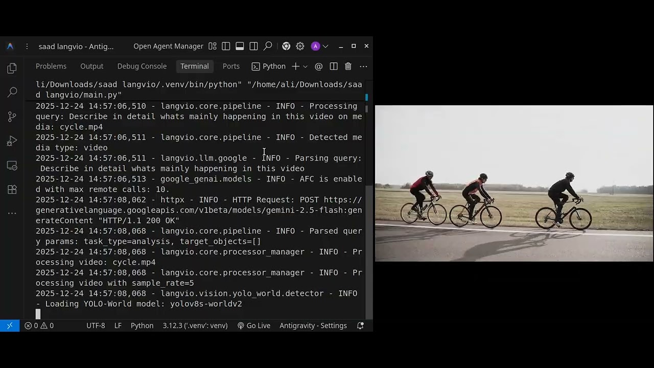 Watch CLI Demo