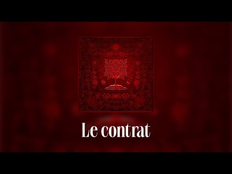 Dadju & Tayc - Le Contrat (Lyrics video)