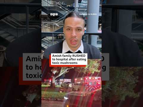 Video | US family rushed to hospital after eating toxic mushrooms. #Pennsylvania #BBCNews