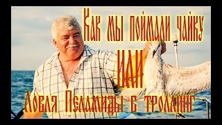 Ссылка