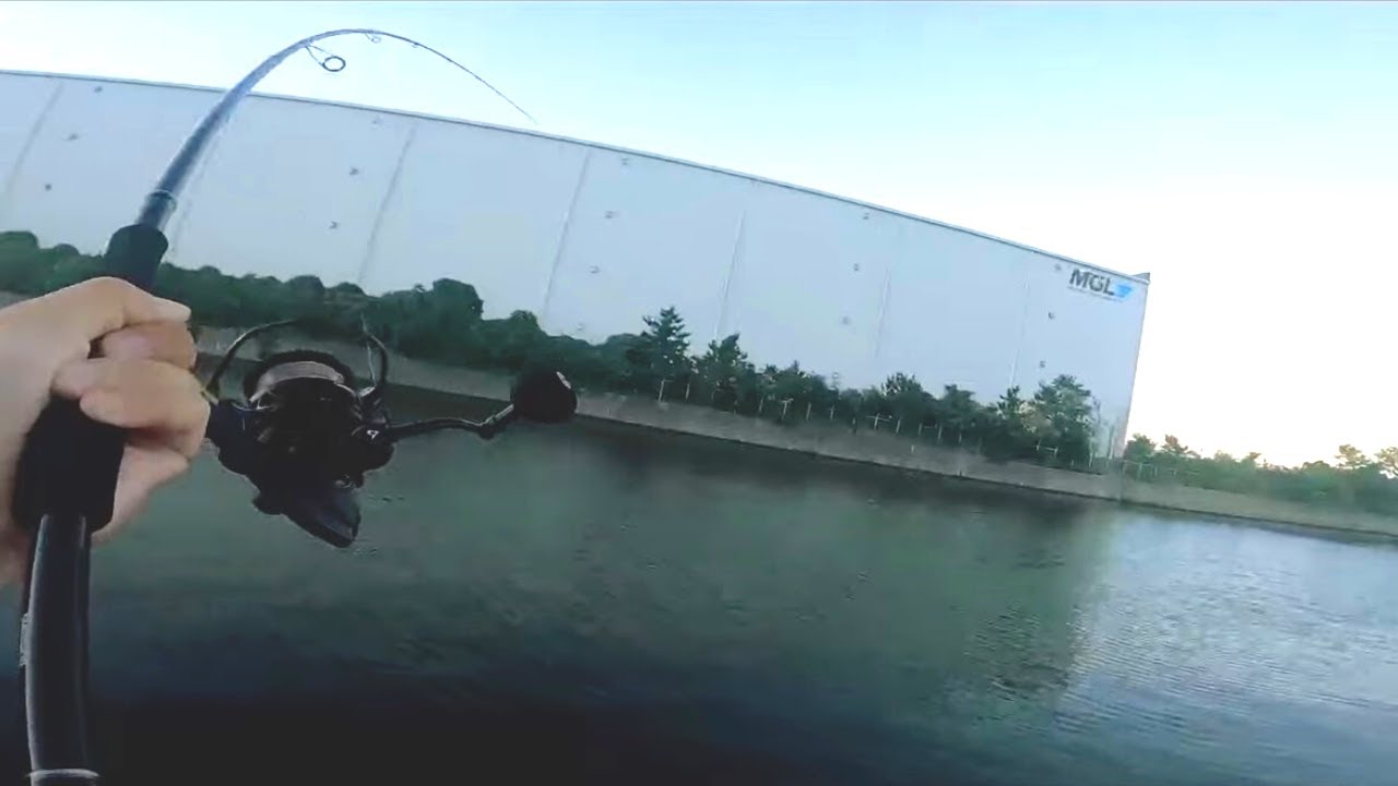 人がいない小さな港で平たい魚釣り