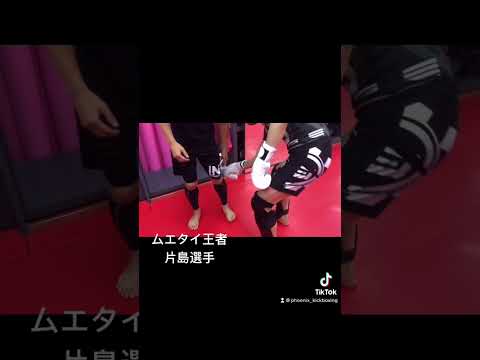 キックボクシングやムエタイなど、立ち技格闘技で、カーフキックで効かせるための戦略