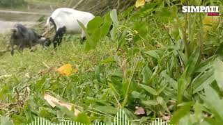 Download lagu SLOWROCK TERBARU OBATI RINDUKU ARIEF PUTRA - SLOWROCK FULL ALBUM TERBARU mp3 Download lagu SLOWROCK TERBARU OBATI RINDUKU ARIEF PUTRA - SLOWROCK FULL ALBUM TERBARU mp3