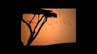 Vídeo para audio de 1ª parte y 24ª parte .El ciclo de la vida.El ciclo sin fin .El Rey León .