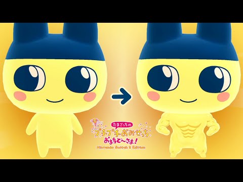 たまごっちコンテスト サイコーカード ちゃまめっち 冬のよそおい