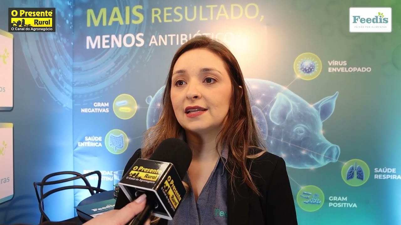 Saúde integrada amplia resposta dos suínos aos desafios sanitários