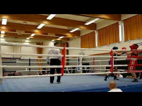 Kultahanska mikkeli 2019 Järvinen-Halmesmäki