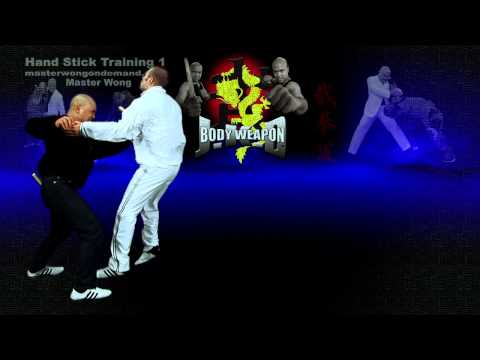 How to use Hand Stick weapon Lesson 6