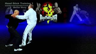 How to use Hand Stick weapon Lesson 6
