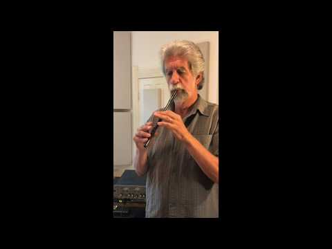 Carbony High Tin Whistle in D (pennywhistle)