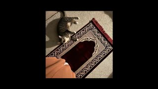 Download lagu Opick - Ramadhan Tiba (Speed up) mp3