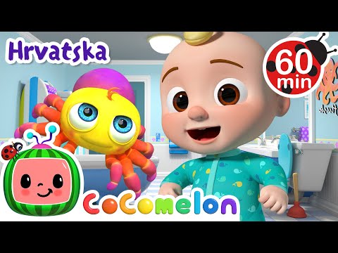 Mala paukica | 1 HOUR OF CoComelon Hrvatska | Crtaći filmovi i dječje pjesme na hrvatskom