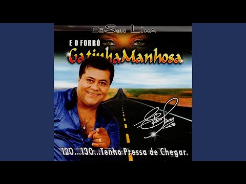 Onde Está Esse Amor - Gatinha Manhosa