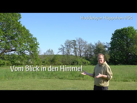 Haddebyer Häppchen #54 (19.05.2023) - Vom Blick in den Himmel