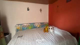 Video de la propiedad