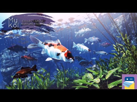 My Koi: iOS Gameplay (by Sakana Studios) - YouTube