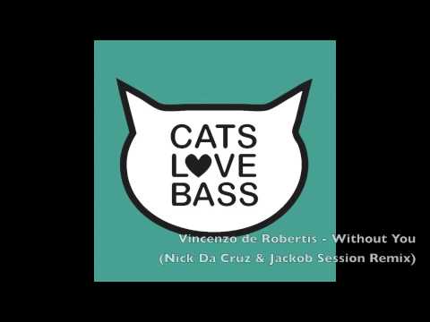 Vincenzo de Robertis - Witout You EP [Catslovebass]