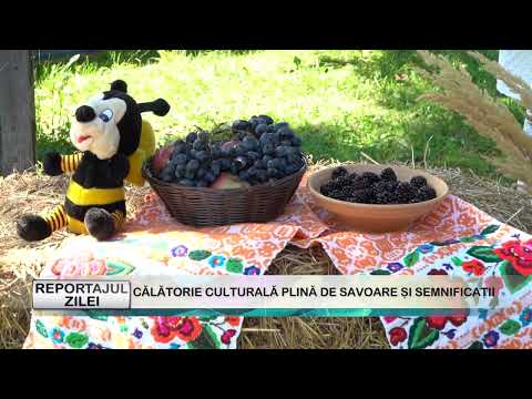 REPORTAJUL ZILEI 29 08 2025  CĂLĂTORIE CULTURALĂ PLINĂ DE SAVOARE ȘI SEMNIFICAȚII