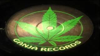 DJ Hype - Computerised Cops