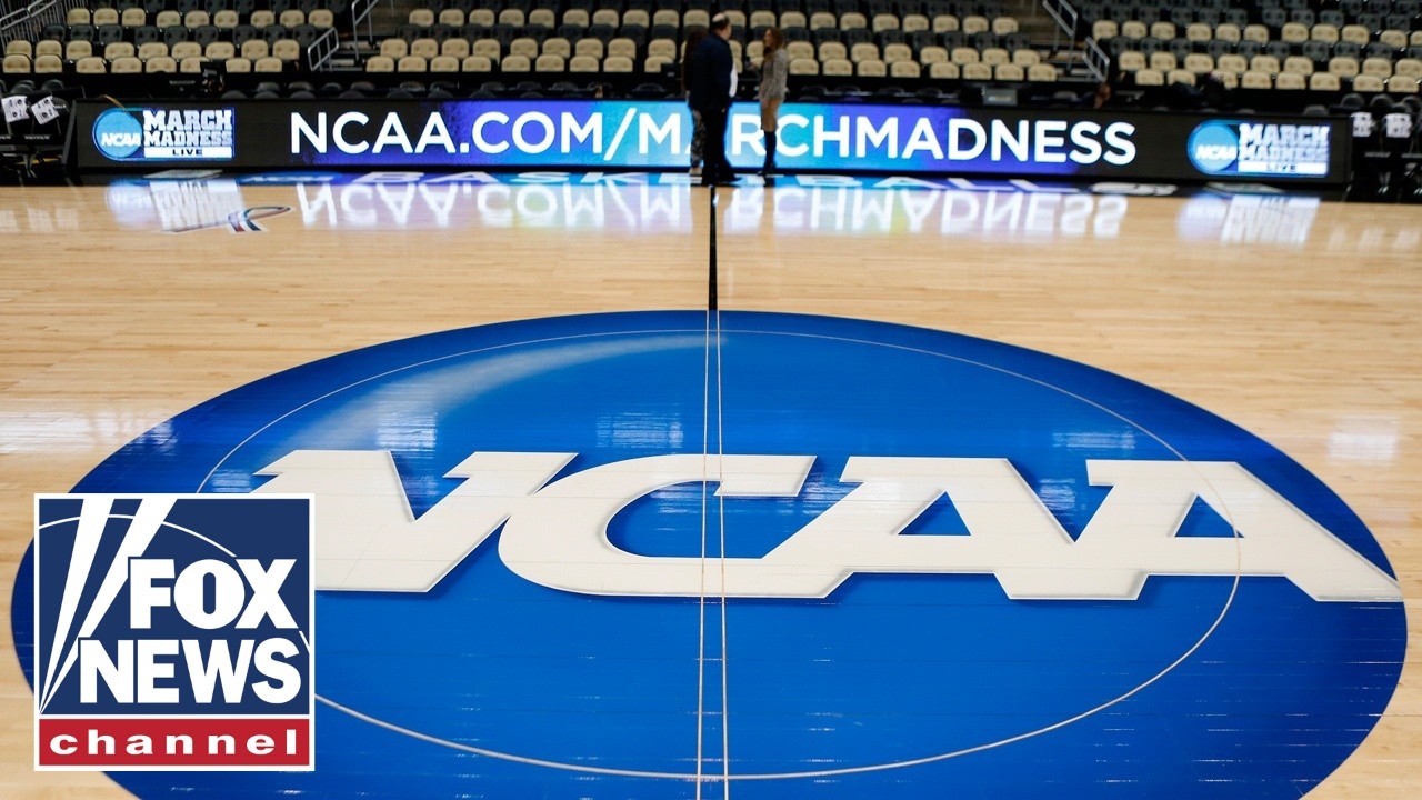 These universities are going to 'FINANCIALLY COLLAPSE' if this isn't fixed: Yankees president